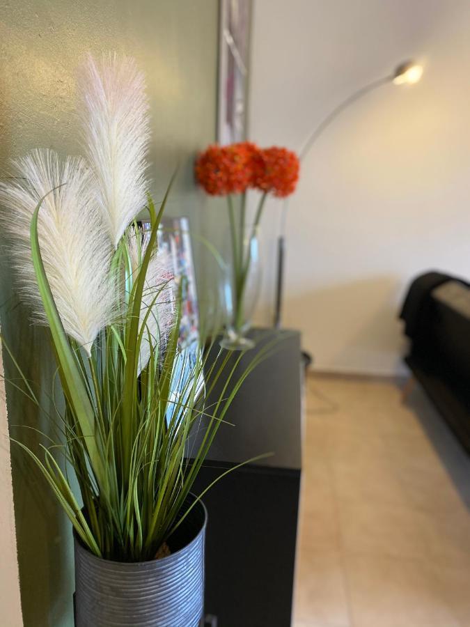 Appartements Vue Mer Saint-Florent  Exteriör bild